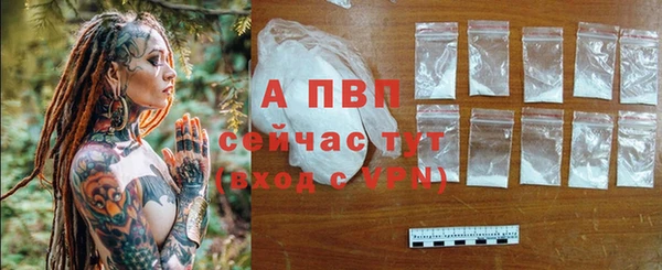 Альфа ПВП Дмитриев