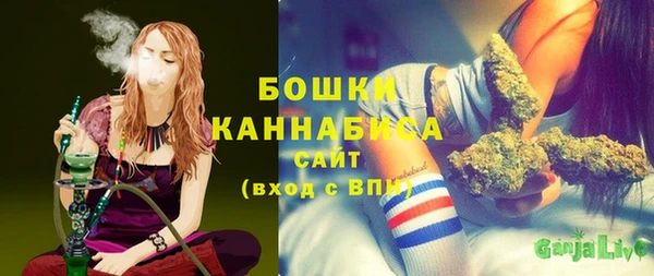 соль ск Щигры